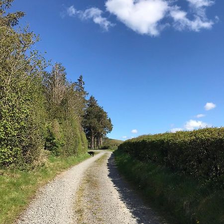 Chic Cottage Near Elan Valley And Builth Wells Llanwrthwl Exteriör bild