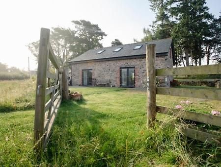 Chic Cottage Near Elan Valley And Builth Wells Llanwrthwl Exteriör bild
