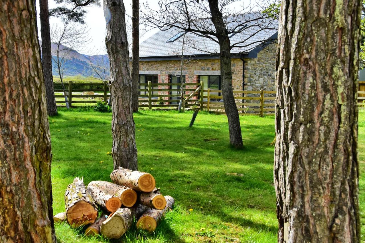 Chic Cottage Near Elan Valley And Builth Wells Llanwrthwl Exteriör bild
