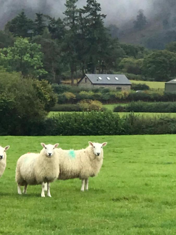 Chic Cottage Near Elan Valley And Builth Wells Llanwrthwl Exteriör bild